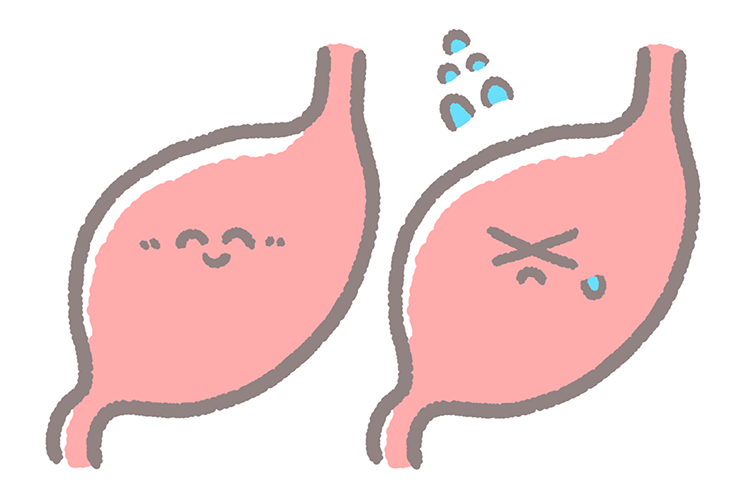 胃カメラで発見できる病気のイメージ写真